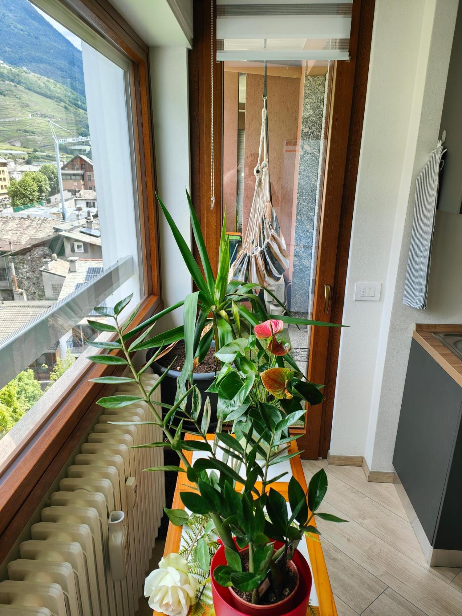 Alfiume B Appartement Tirano Buitenkant foto