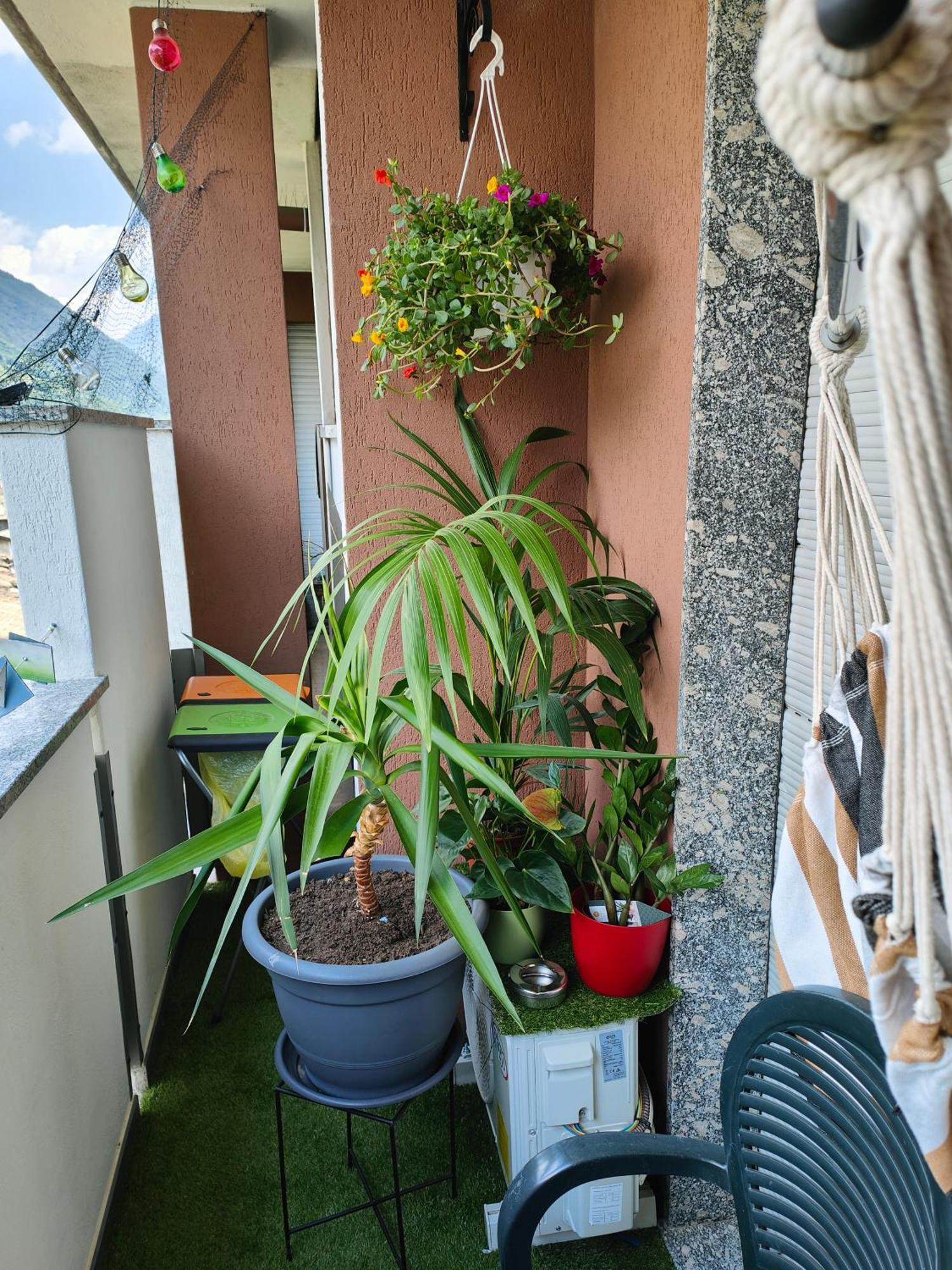 Alfiume B Appartement Tirano Buitenkant foto